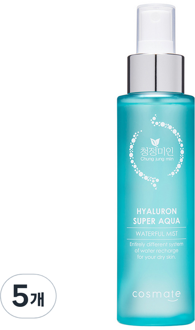 청정미인 히아루론 수퍼 아쿠아 워터풀 미스트, 120ml, 5개