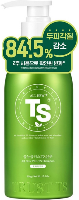 TS 올뉴 플러스 티에스 샴푸, 500g, 1개