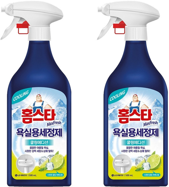 홈스타 맥스프레쉬 욕실용 세정제 쿨링에디션, 500ml, 2개