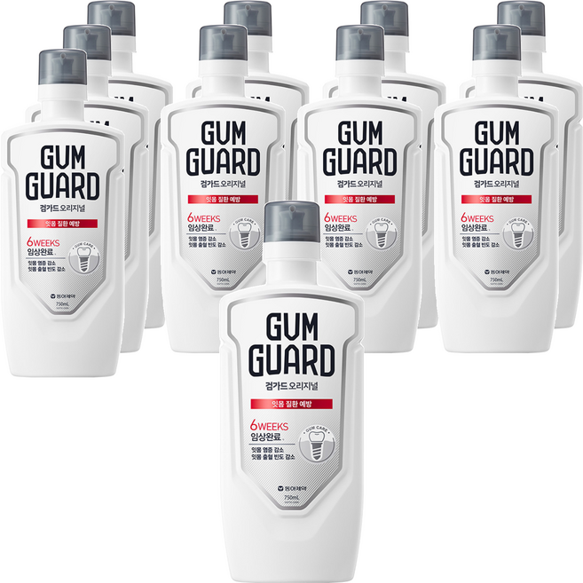 검가드 오리지널 구강청결제, 750ml, 10개