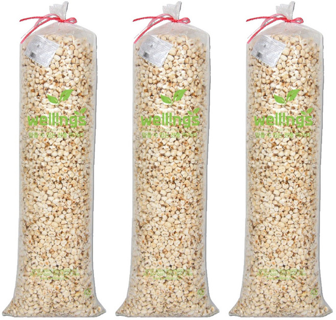 우리식품 우리왕 찰옥콘스토리 강냉이, 1.5kg, 3개