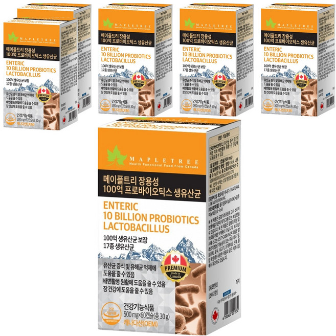 메이플트리 장용성 100억 프로바이오틱스 생유산균, 60정, 6개