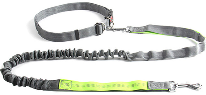 파스텔펫 핸즈프리 허리밴드 반려동물 리드줄세트, D타입, 1개