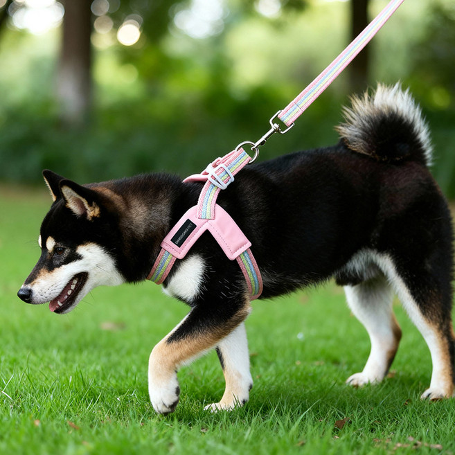딩동펫 초경량 캔디 멜빵 하네스 + 리드줄, 핑크, 1세트