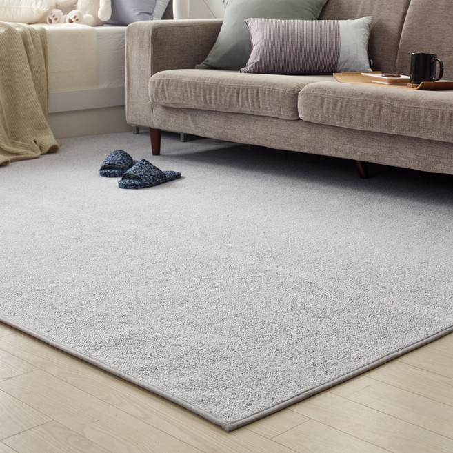 모두의러그 데일리 극세사 단모 거실 러그