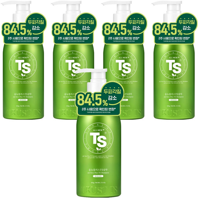 TS 올뉴 플러스 티에스 샴푸, 500g, 5개