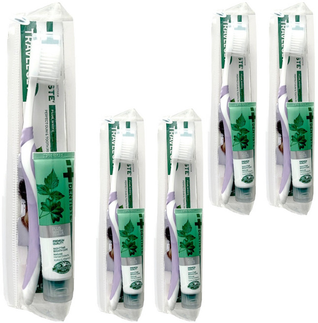 덴티스테 여행용 치약 + 칫솔 세트, 20g, 5세트