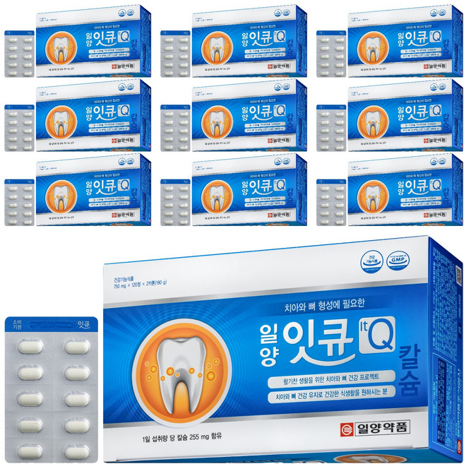 일양약품 잇큐 영양제, 240정, 10개