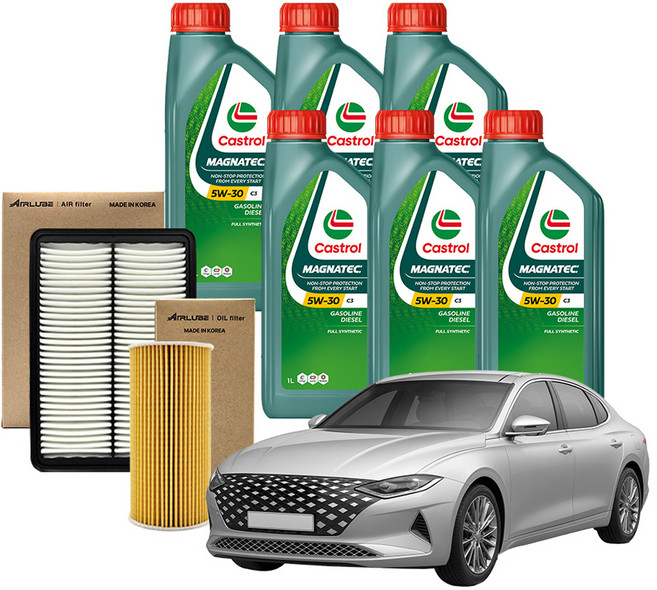 캐스트롤 마그네틱 엔진오일 1L x 6p + 필터세트, 1세트, 5w30
