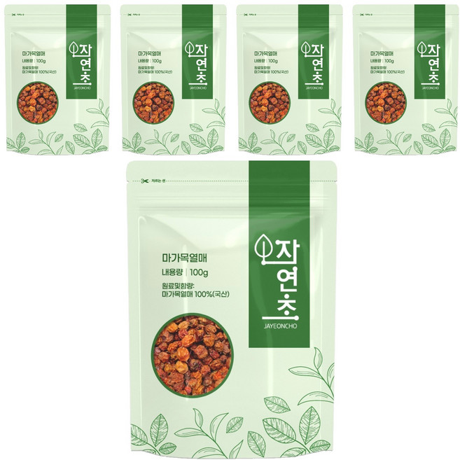 건조 마가목열매, 100g, 5개