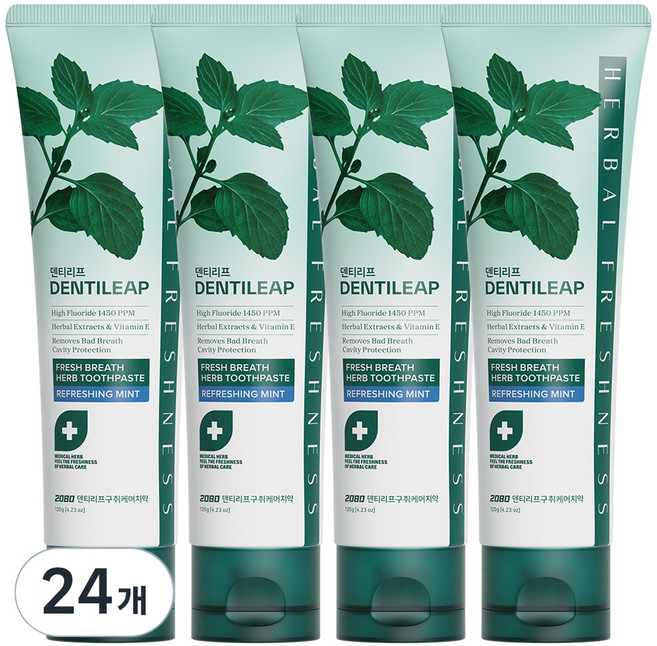 2080 덴티리프 구취케어 치약, 120g, 24개
