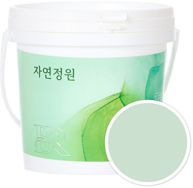 자연정원 친환경 셀프 벽지 규조토 황토 베란다 가구 곰팡이 결로방지 수성 페인트, BR029라이트그린, 1kg, 1개