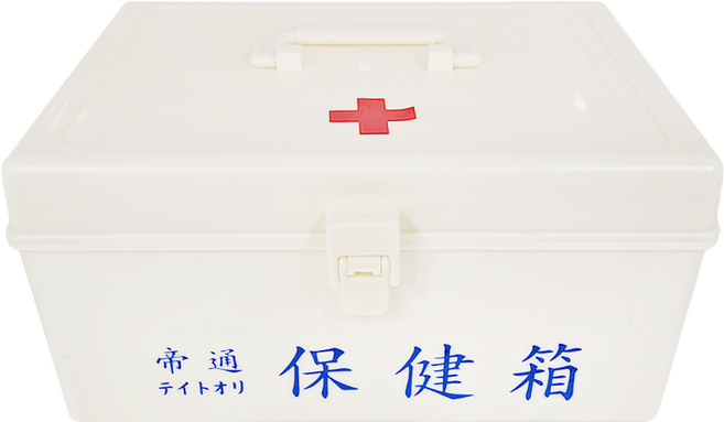 帝通 保健空箱 大 25.5 x 19 x 12cm, 1盒