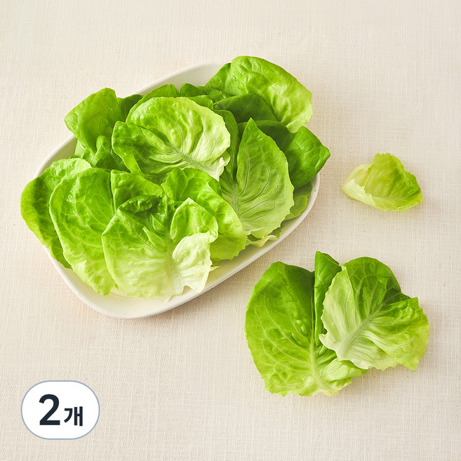 그린래빗 무농약 인증 버터헤드레터스, 100g, 2개