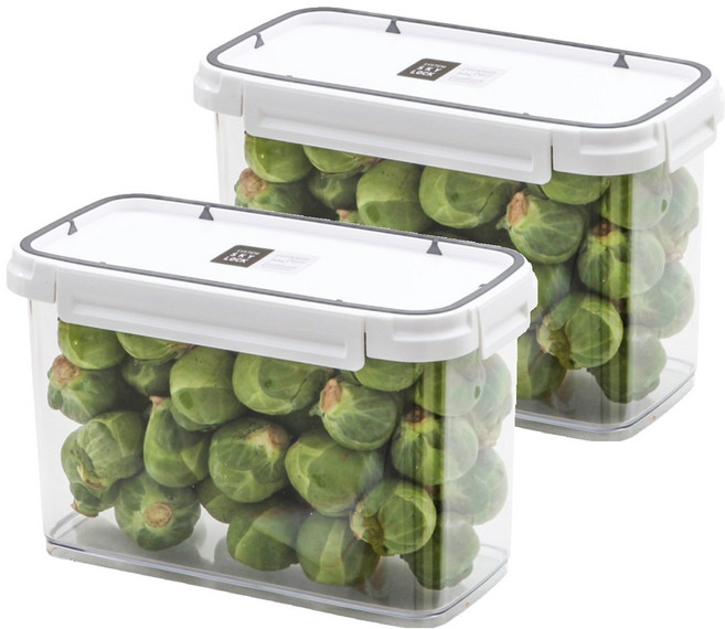 창신리빙 스카이락 밀폐용기 와이드 3호, 2개, 단품