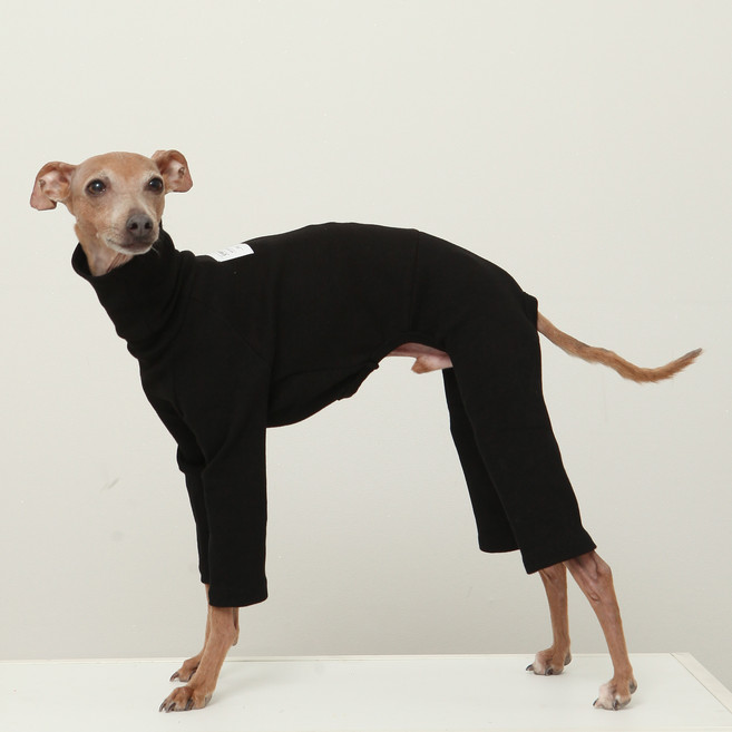 도기스타 이탈리안그레이하운드옷 아이쥐옷 소프트 골지 올인원, 검정, 1개