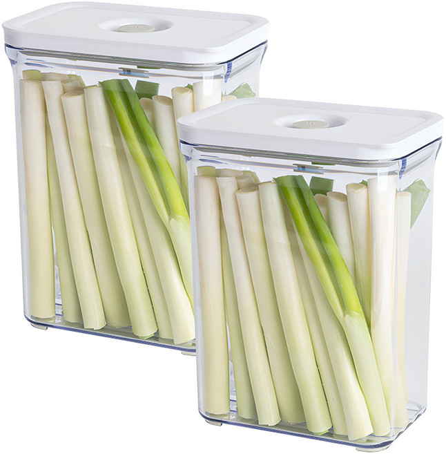 프랑코홈 파워바큠 진공 대파용기 하이, 2개, 2.4L