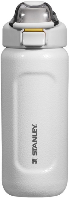 스탠리 웰스프링 보온보냉 보틀, 해머톤 프로스트 화이트, 473ml, 1개