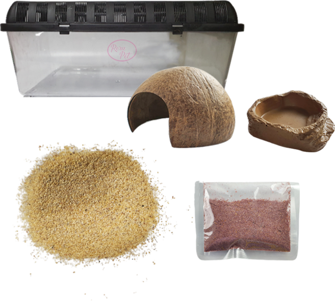 로라펫 소라 키우기 세트 골드 샌드 바닥재 파충류 사육장 4호, 황토색(바닥재), 1세트