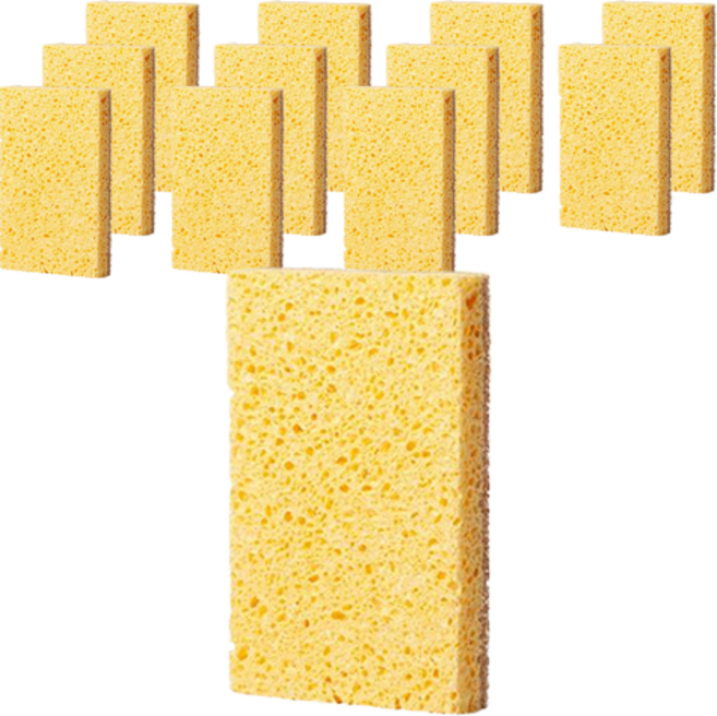 국대365 아가베 펄프 양면 수세미, 1개입, 12개