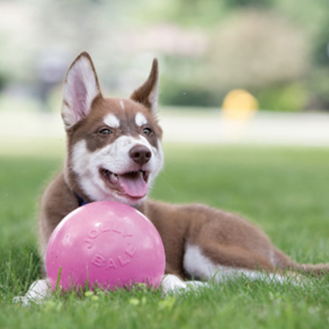 졸리볼 반려견 바운스 볼 small, PINK, 1개