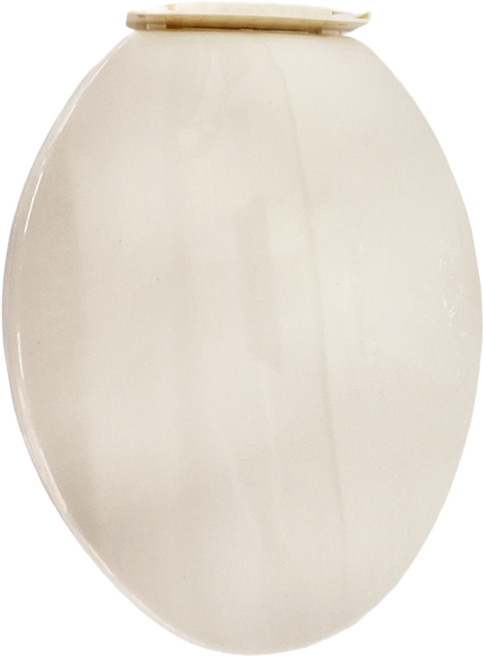 Advans 加長型自掀馬桶蓋 1050g, 象牙白, 1個