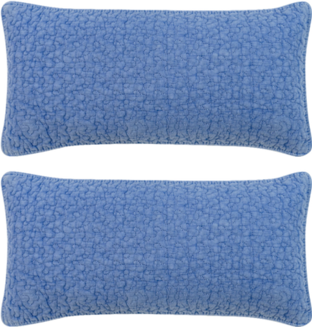 쉬즈홈 힐링 피그먼트 면 메밀 베개커버 + 속통 세트, 블루, 2개