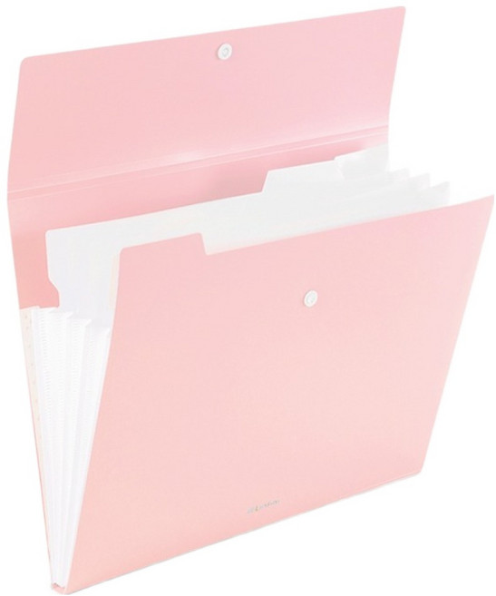 델리 린피니 5분류 아코디언 도큐먼트 파일, 파스텔핑크, 1개
