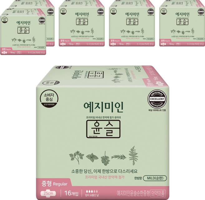 예지미인 윤슬 한방 생리대 날개형, 중형, 16개입, 6개