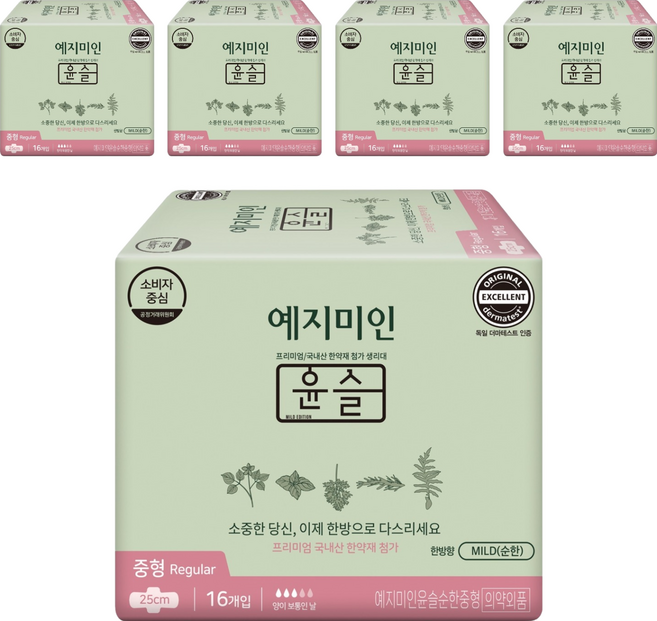 예지미인 윤슬 순한 생리대 날개형, 중형, 16개입, 5개