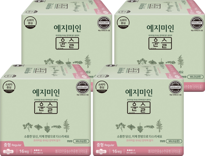 예지미인 윤슬 순한 생리대 날개형, 중형, 16개입, 4개