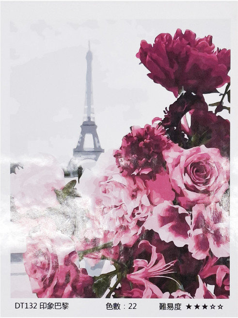 ArtLife 藝術生活 數字油畫DIY DT132 40 x 50cm, 印象巴黎, 1個