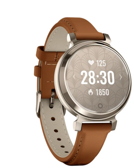 GARMIN Lily 2 智慧腕錶 經典款, 藍牙, 25.4mm, 春日麥穗, 1支