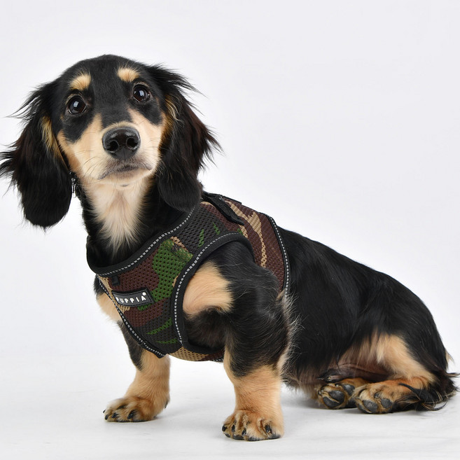 퍼피아 올치 강아지 빛 반사 코지 하네스 B형, 카모