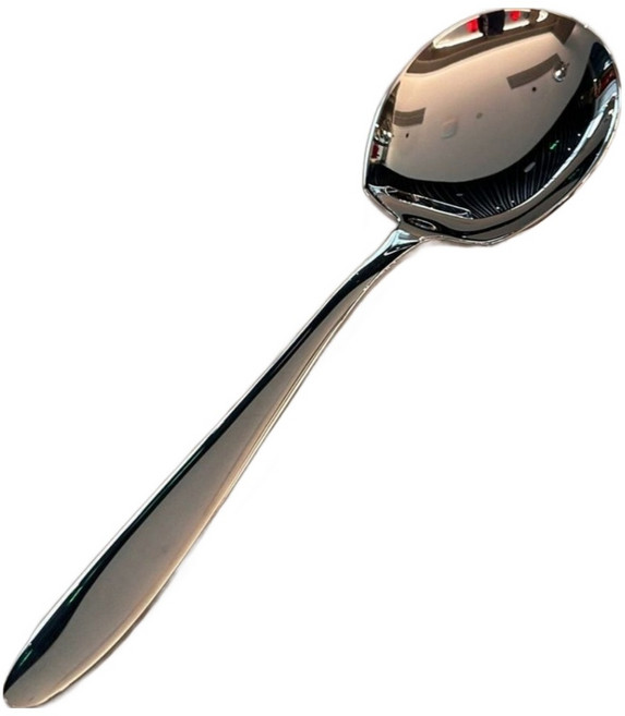 카네츠 만능 올스텐 대형 뷔페 서빙스푼, 실버, 1개