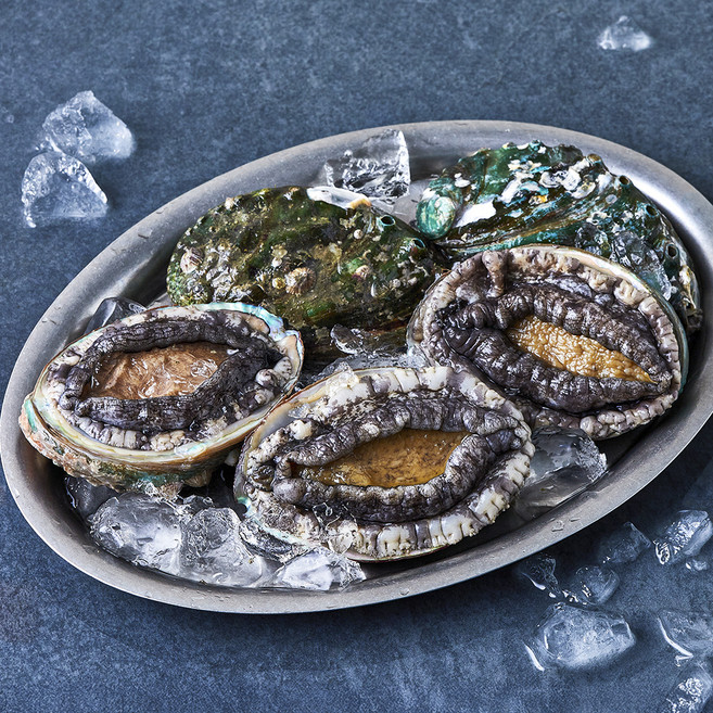 완도맘 활전복 (냉장), 500g 내외(특대, 5마리), 1개