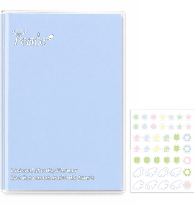 탐사 먼슬리 만년형 플래너, 베이비 블루, 1개