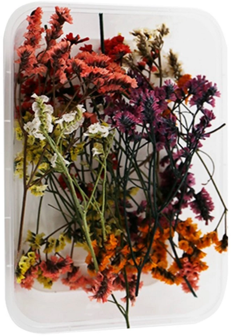 A-ONE 匯旺 乾燥花 3盒, 永生水晶草 多色