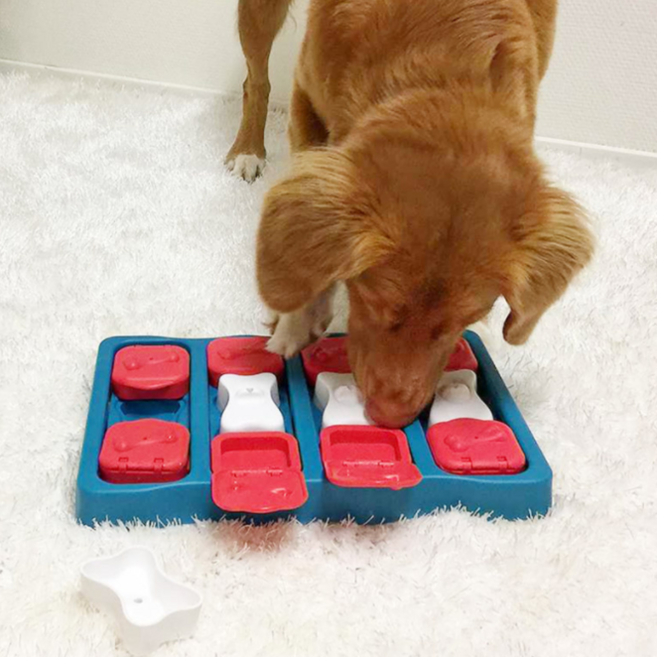 니나오토슨 도그 브릭 노즈워크 장난감, 혼합색상, 1개