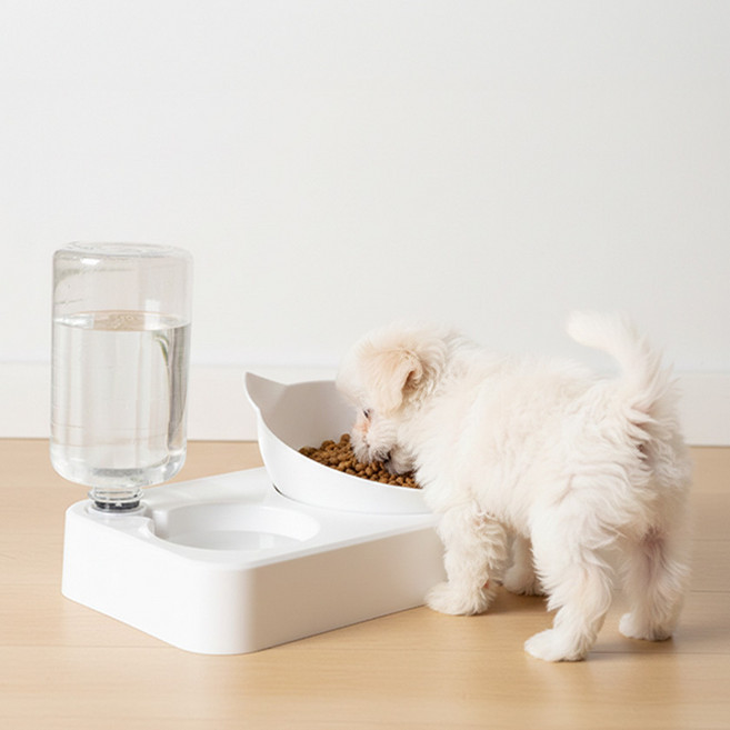 펫코노미 반려동물 원형 반자동 급수기 + 급식기 세트, 1세트