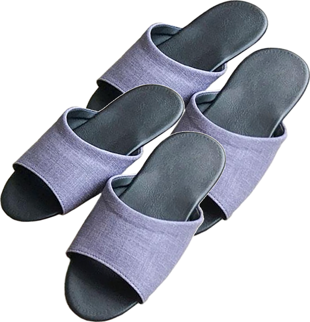 TAIWAN SLIPPER 台灣犀利趴 純色皮質室內拖鞋 SB-G6-M, 爵士紫, 2雙