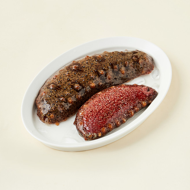 숨비해물 산지직송 거제도 해녀가 어획한 자연산 홍해삼 (냉장), 500g, 1개