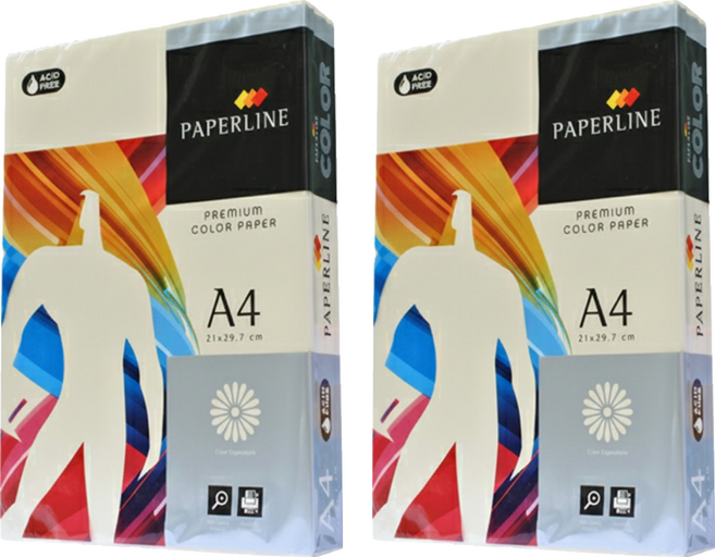 PAPERLINE PL100 彩色影印紙 象牙白 80g, 2包, A4