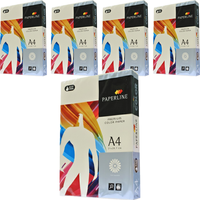 PAPERLINE PL100 彩色影印紙 象牙白 80g, 5包, A4