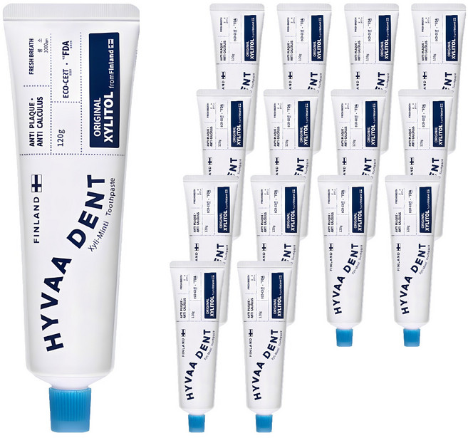 휘바덴트 자일리민티 치약, 120g, 15개