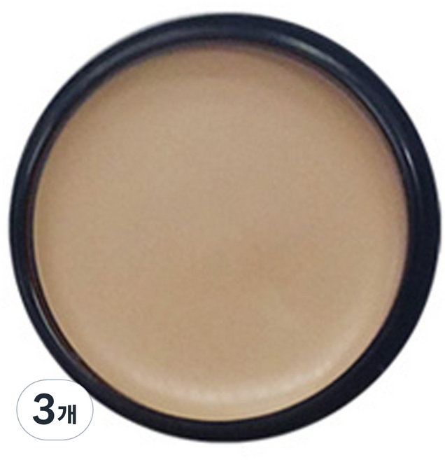 애리조 카마플레이지 크림 13g, No3 크림, 3개