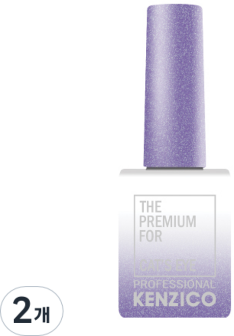 켄지코 캣츠아이 젤네일, CE204, 10g, 2개