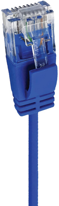 POLYWELL 寶利威爾 CAT6 極細高速網路線 RJ45 福祿克認證 PW15-W58-R005, 藍色, 0.5m, 1條