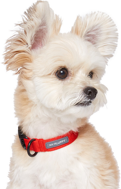 마이플러피 강아지 베이직 칼라 목줄, 레드, 1개