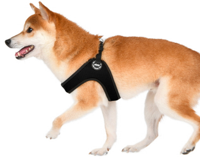 올치 강아지 콤비 버클 하네스 V 산책 목 줄 HV6046, 블랙, 1개